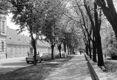 Magyarország, 1977, Gazda Anikó, Fortepan #307614