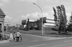 Magyarország, 1977, Gazda Anikó, Fortepan #307621