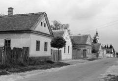 Magyarország, 1977, Gazda Anikó, Fortepan #307629