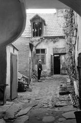 Magyarország, 1964, Gazda Anikó, Fortepan #307641