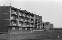 Magyarország, 1963, Gazda Anikó, Fortepan #307665