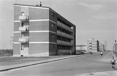 Magyarország, 1963, Gazda Anikó, Fortepan #307666