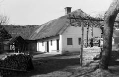Magyarország, 1960, Gazda Anikó, Fortepan #307684