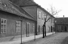 Magyarország, 1966, Gazda Anikó, Fortepan #307689