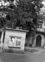 Magyarország, 1966, Gazda Anikó, Fortepan #307690