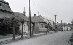 Hungary, 1969, Gazda Anikó, Fortepan #307694