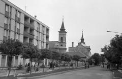 Hungary, 1969, Gazda Anikó, Fortepan #307695