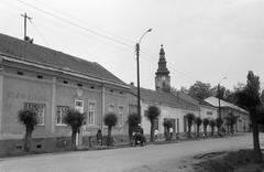 Hungary, 1969, Gazda Anikó, Fortepan #307696