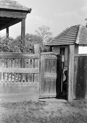 Magyarország, 1967, Gazda Anikó, Fortepan #307707