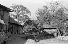 Magyarország, 1967, Gazda Anikó, Fortepan #307710