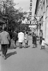 Hungary, 1973, Gazda Anikó, Fortepan #307714