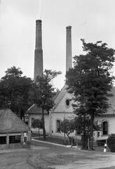 Magyarország, 1966, Gazda Anikó, Best of, Fortepan #307719