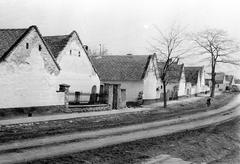 Hungary, 1961, Gazda Anikó, Fortepan #307724