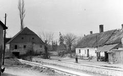 Hungary, 1961, Gazda Anikó, Fortepan #307730