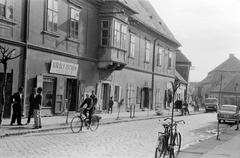 Magyarország, 1964, Gazda Anikó, Fortepan #307740