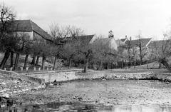 Magyarország, 1960, Gazda Anikó, Fortepan #307744