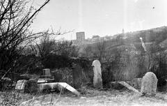 Magyarország, 1958, Gazda Anikó, Fortepan #307756