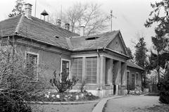 Hungary, 1973, Gazda Anikó, Fortepan #307772