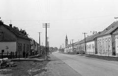 Hungary, 1968, Gazda Anikó, Fortepan #307791
