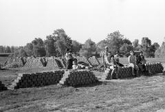 Magyarország, 1963, Gazda Anikó, Best of, Fortepan #307800