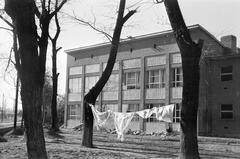 Magyarország, 1967, Gazda Anikó, Fortepan #307805