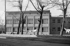 Magyarország, 1967, Gazda Anikó, Best of, Fortepan #307806