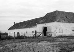 Magyarország, 1977, Gazda Anikó, Fortepan #307811