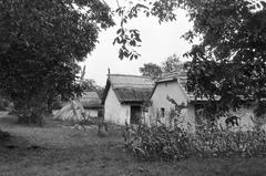 Magyarország, 1962, Gazda Anikó, Fortepan #307812