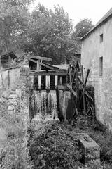 Magyarország, 1962, Gazda Anikó, Fortepan #307813