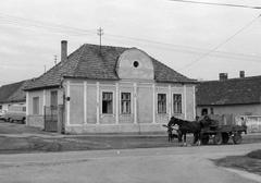 Magyarország, 1979, Gazda Anikó, lovaskocsi, Fortepan #307816