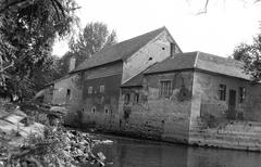 Magyarország, 1979, Gazda Anikó, Fortepan #307817