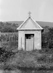 Magyarország, 1979, Gazda Anikó, Fortepan #307821