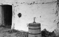 Hungary, 1961, Gazda Anikó, Fortepan #307829