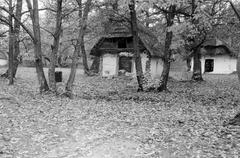 Hungary, 1961, Gazda Anikó, Fortepan #307830