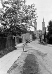 Hungary, 1973, Gazda Anikó, Fortepan #307846