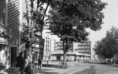 Hungary, 1973, Gazda Anikó, Fortepan #307853