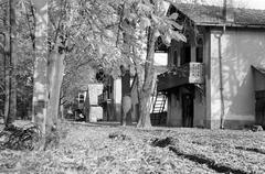 Magyarország, 1975, Gazda Anikó, Fortepan #307860