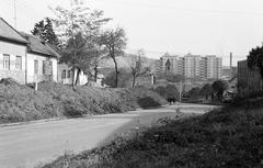 Magyarország, 1975, Gazda Anikó, Fortepan #307862