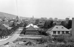 Magyarország, 1975, Gazda Anikó, Fortepan #307863