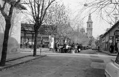 Hungary, 1972, Gazda Anikó, Fortepan #307866