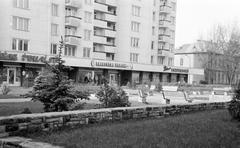 Hungary, 1972, Gazda Anikó, Fortepan #307871