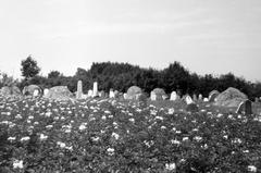 Magyarország, 1976, Gazda Anikó, Fortepan #307883