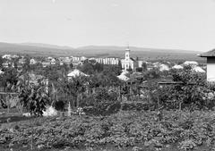 Magyarország, 1971, Gazda Anikó, Fortepan #307893