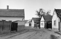 Magyarország, 1970, Gazda Anikó, Fortepan #307910