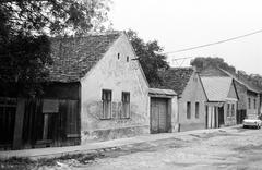 Hungary, 1974, Gazda Anikó, Fortepan #307924