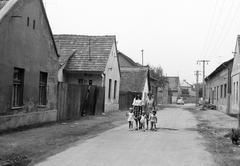Hungary, 1974, Gazda Anikó, Fortepan #307926