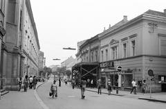 Magyarország, 1976, Gazda Anikó, Fortepan #307933