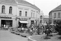 Magyarország, 1976, Gazda Anikó, Fortepan #307939