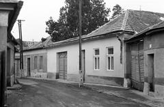 Magyarország, 1966, Gazda Anikó, Fortepan #307948