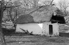 Hungary, 1965, Gazda Anikó, Fortepan #307961